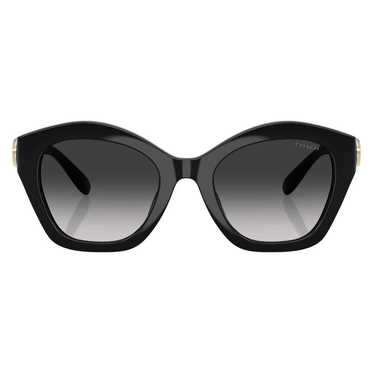 Coach HC8421U 50023C54 sunglasses front view