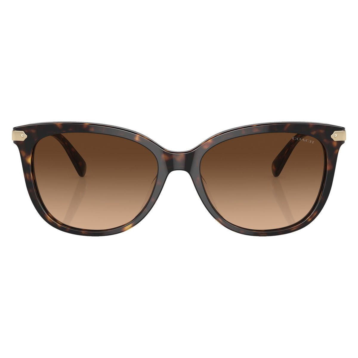 Coach HC8378U 512074 Dark Tortoise sunglasses front view