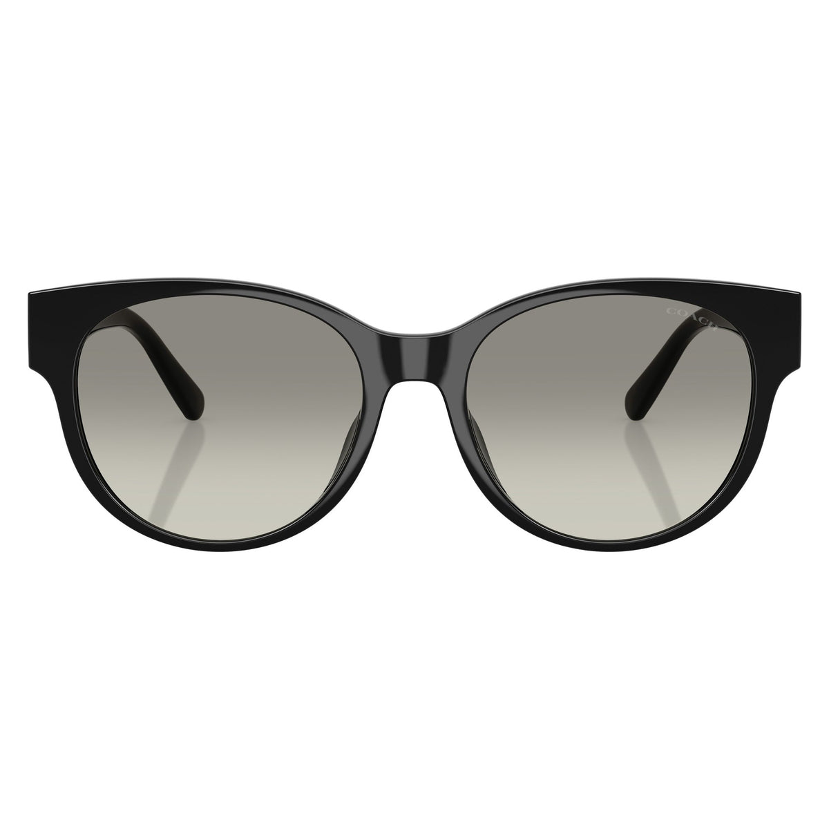 Coach HC8430D 50023C56 Black sunglasses front view
