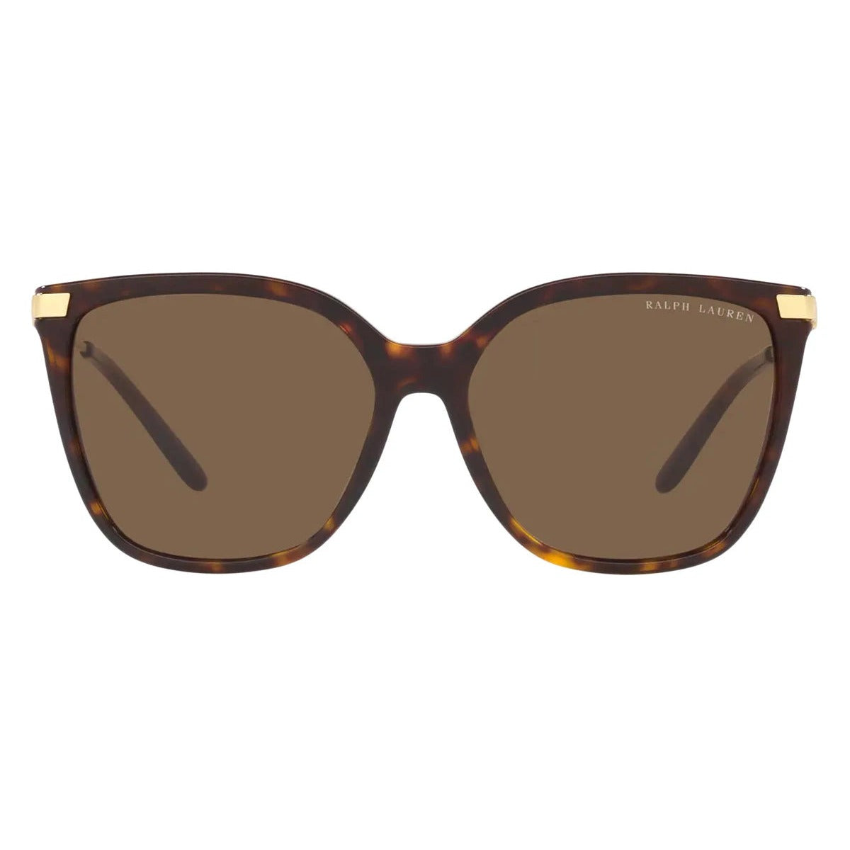 Ralph Lauren RL8209 500373 Shiny Dark Havana sunglasses front view