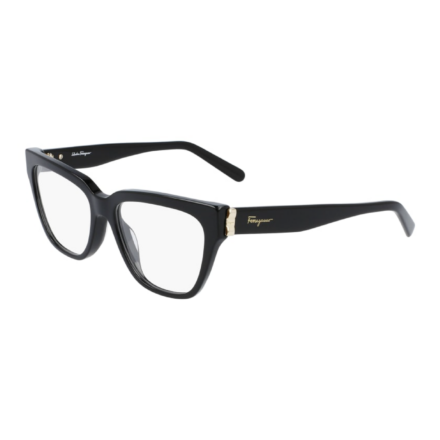 FERRAGAMO Frame - SF2893 (001)