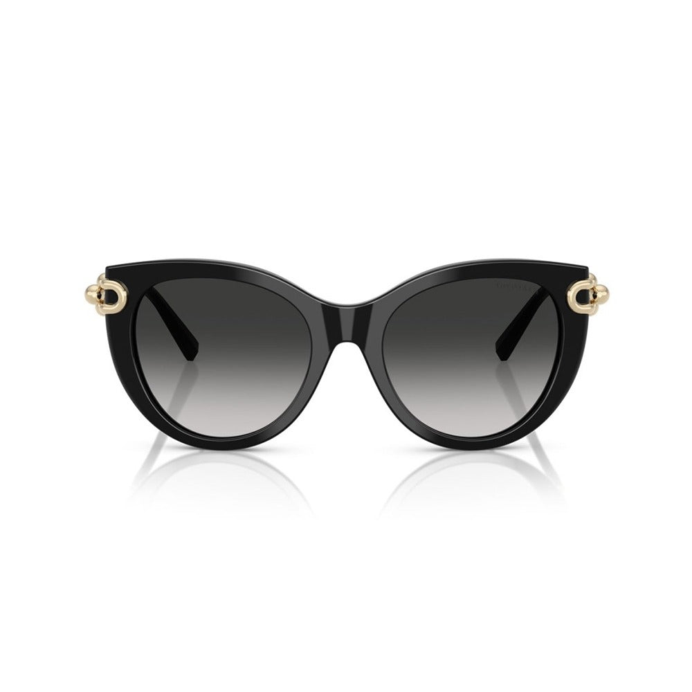 TIFFANY Sunglasses - TF4232 (80013C53)
