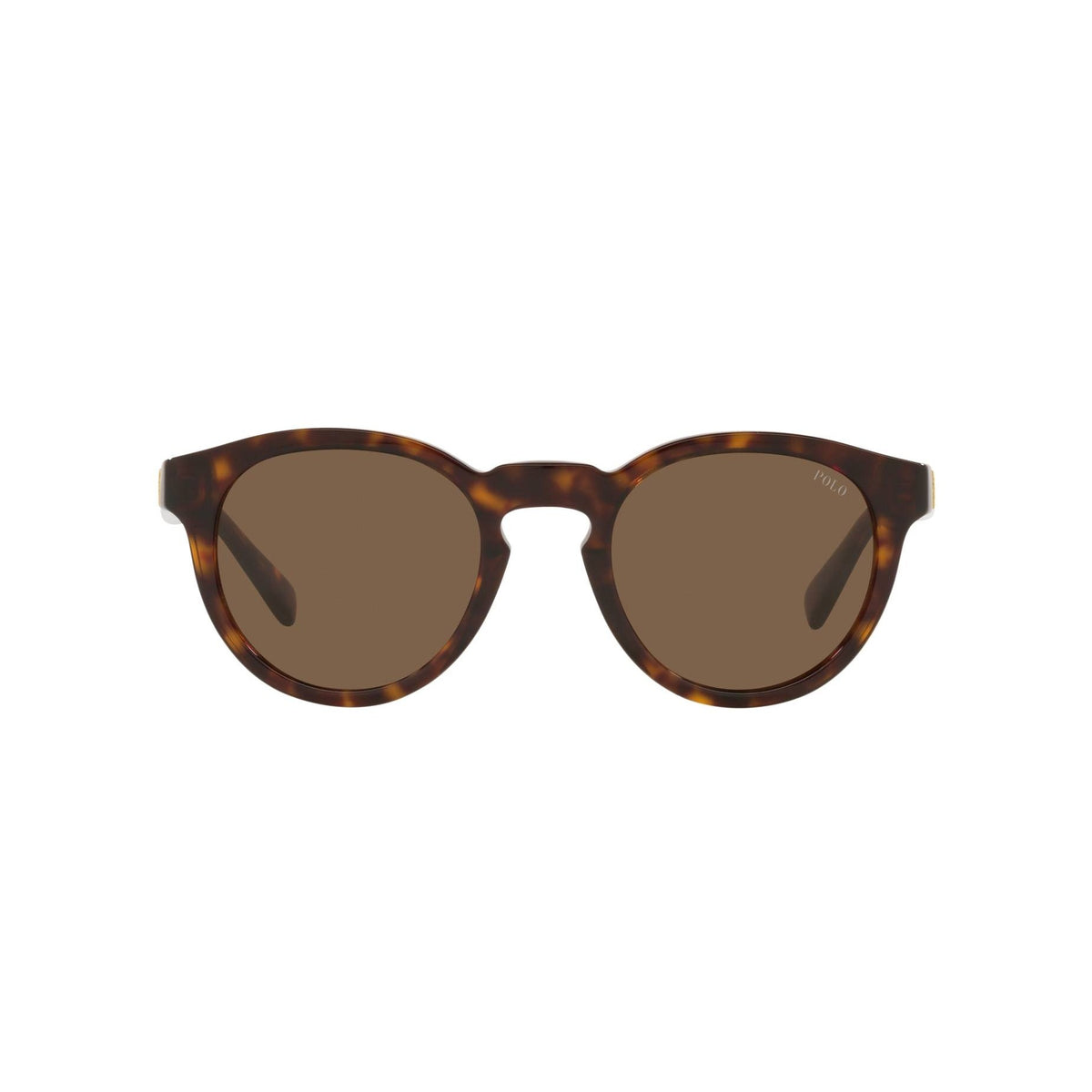 POLO Sunglasses - PH4184 (500373)