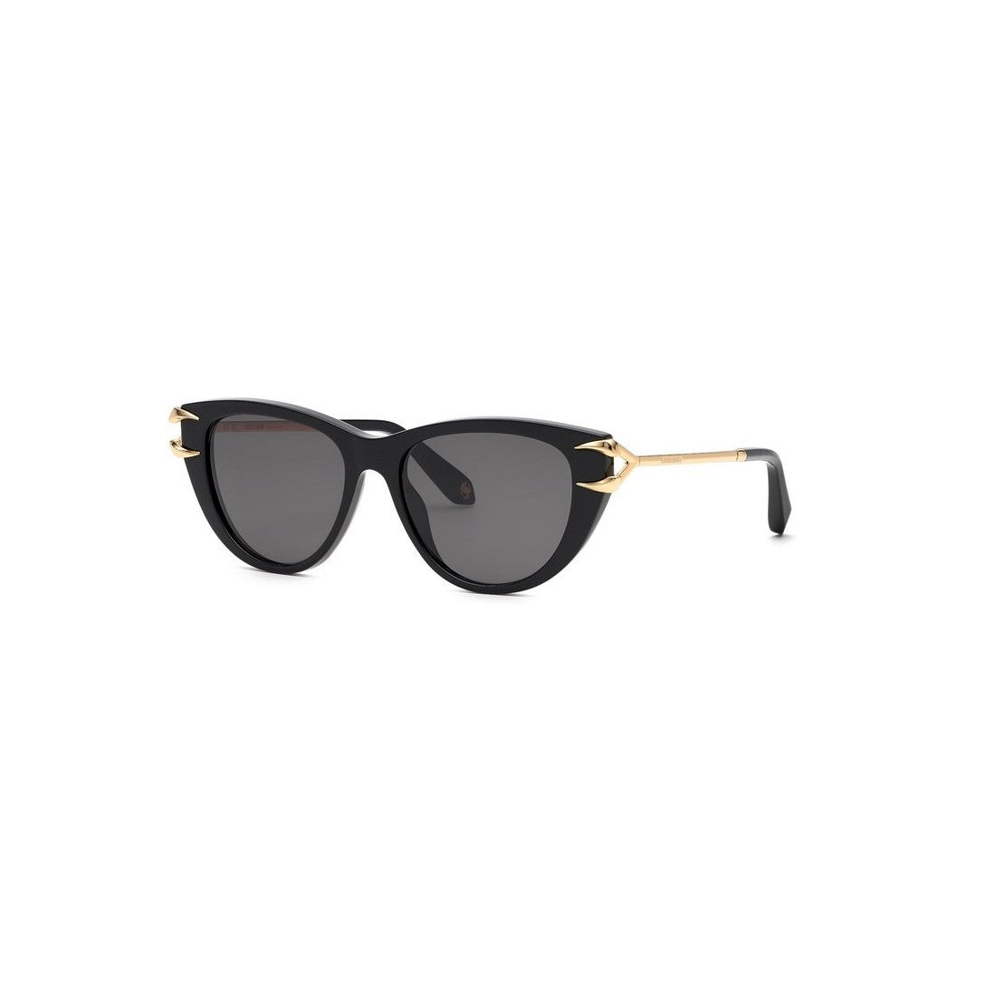 ROBERTO CAVALLI Sunglasses - SRC031 (0700)