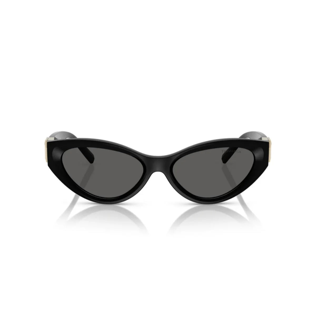 TIFFANY Sunglasses - TF4225U (8001S4)