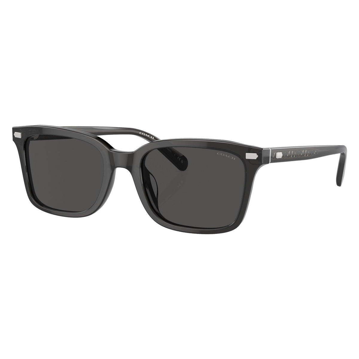 Coach HC8398U 581787 sunglasses angle view