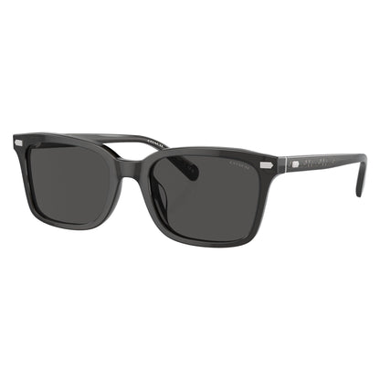 Coach HC8398U 581787 sunglasses angle view