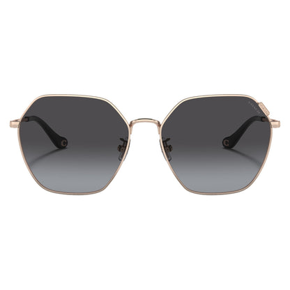 Coach HC7132 93318G sunglasses front view