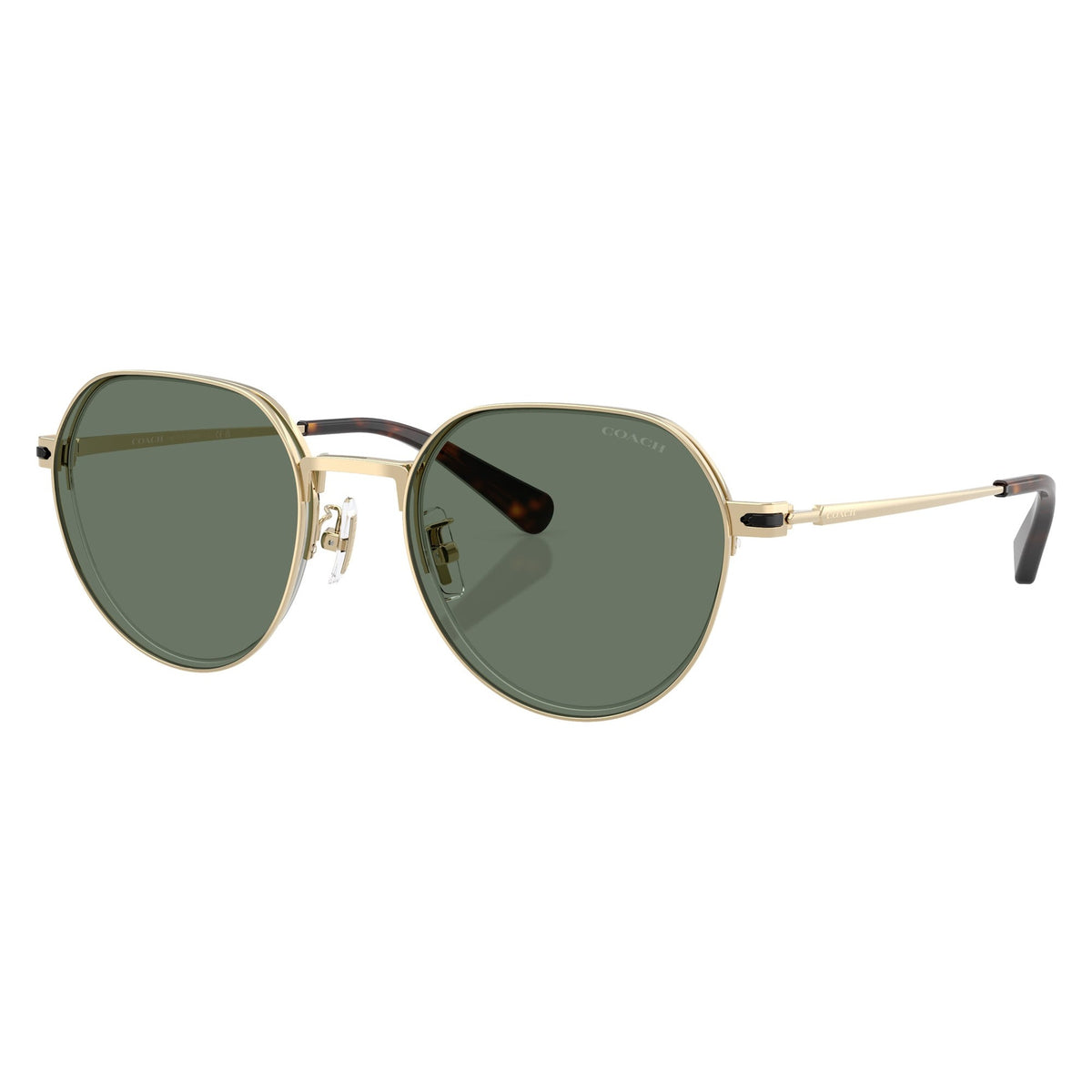Coach HC7179 90053H52 sunglasses angle view