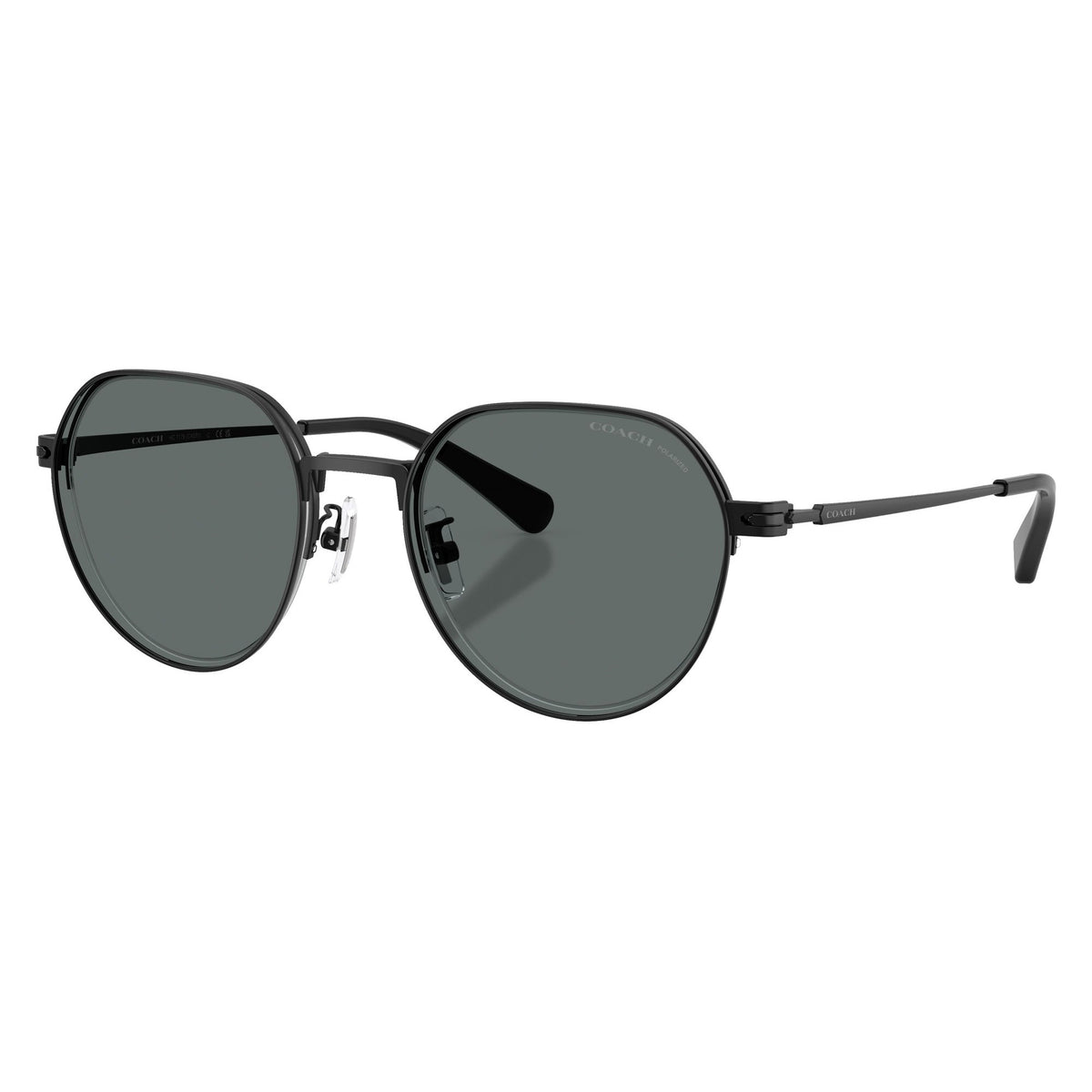 Coach HC7179 93448152 sunglasses angle view