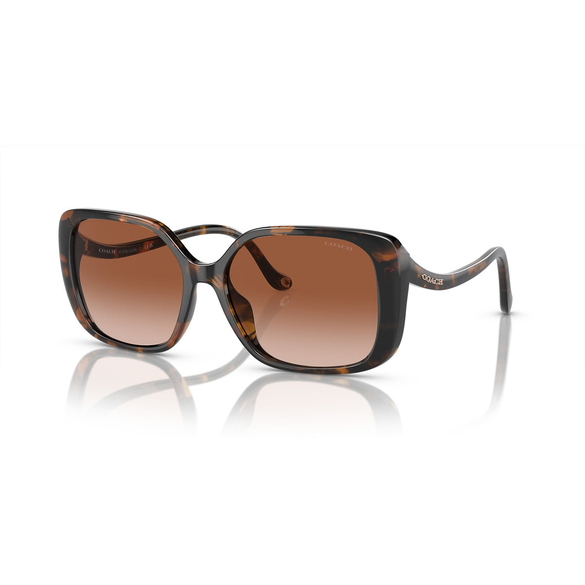 Coach HC8376U 512013 sunglasses angle view