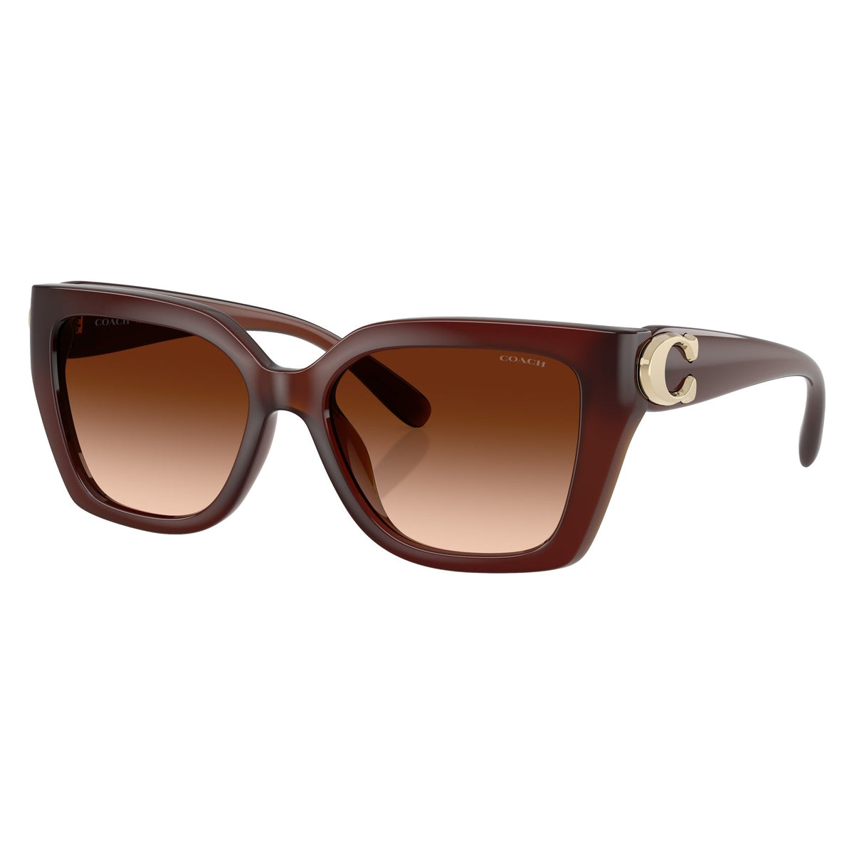 Coach HC8408U 584174 sunglasses angle view