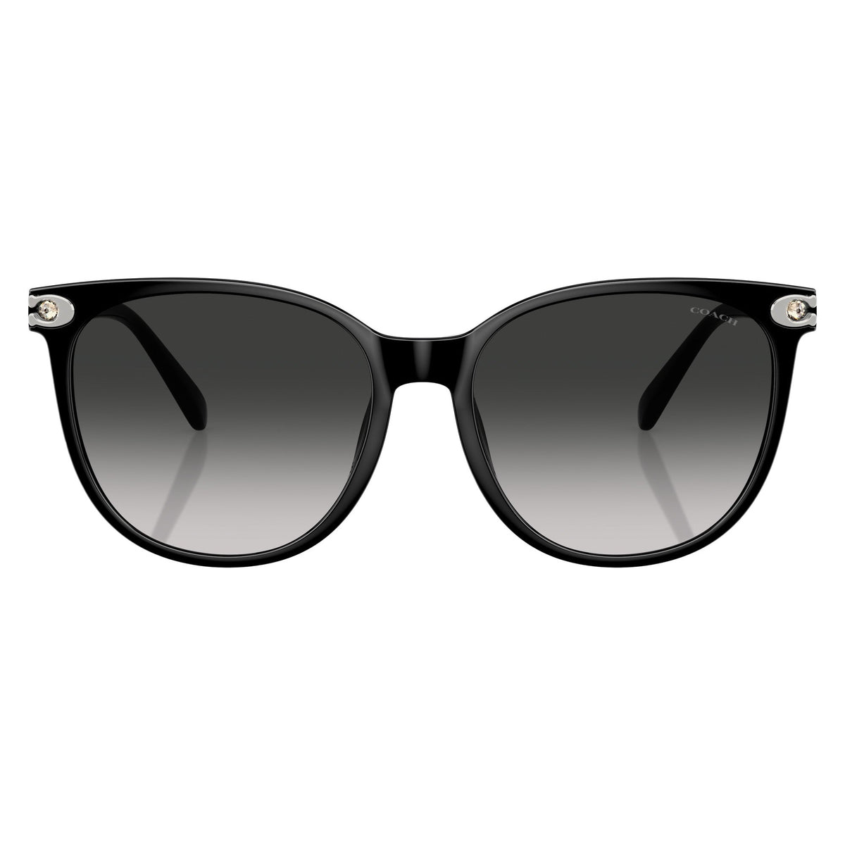 Coach HC8414BD 50023C sunglasses front view