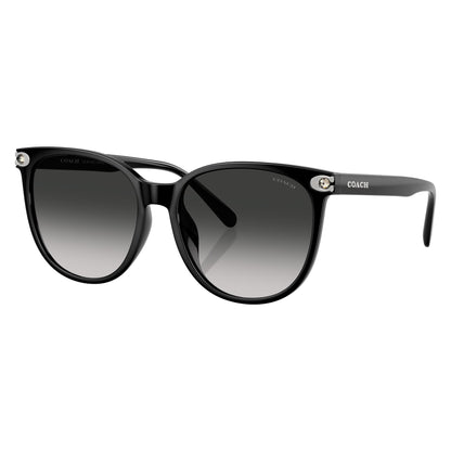 Coach HC8414BD 50023C sunglasses angle view