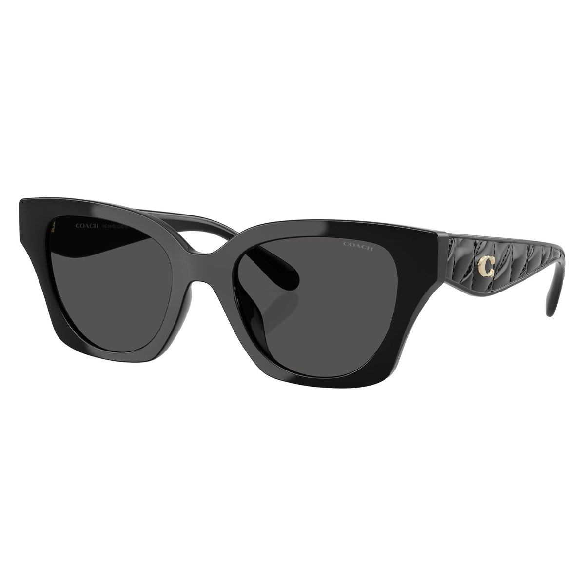 Coach HC8418U 50028753 sunglasses angle view