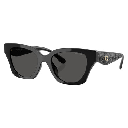 Coach HC8418U 50028753 sunglasses angle view