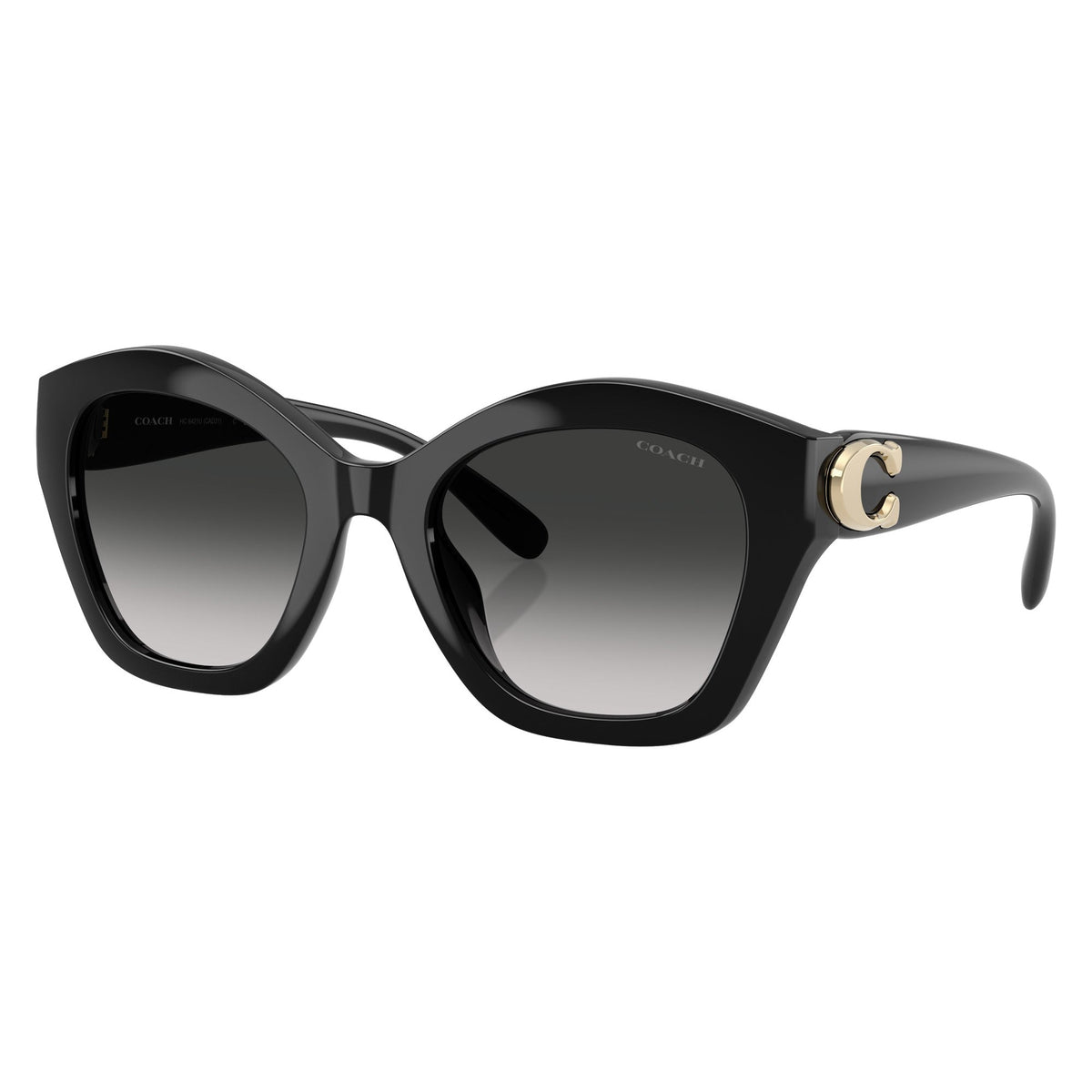Coach HC8421U 50023C54 sunglasses angle view