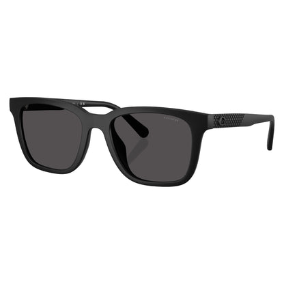 Coach HC8426U 50028754 sunglasses angle view