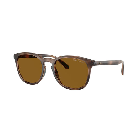 POLO Sunglasses - PH4222U (500383)