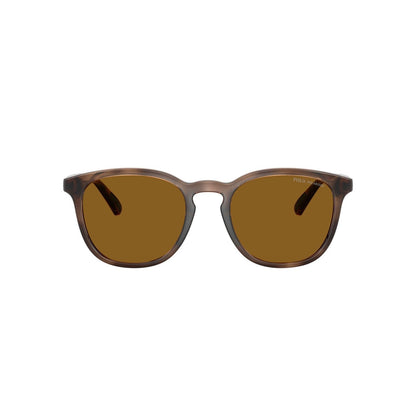POLO Sunglasses - PH4222U (500383)