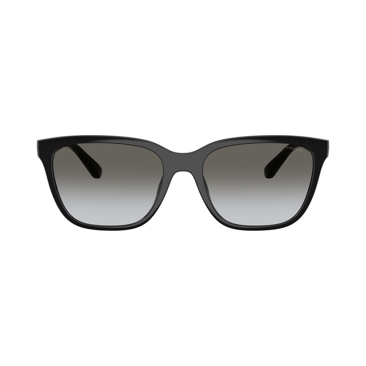 COACH Sunglasses - HC8429D (50023C56)