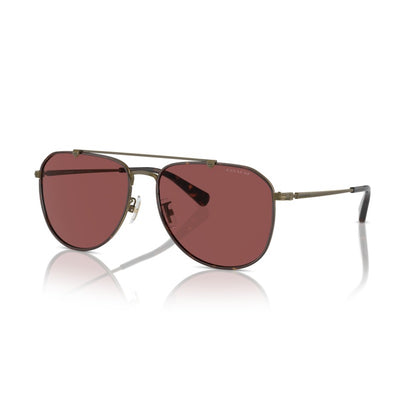 Coach HC7164 933375 Antique Gold/Dark Tortoise sunglasses angle view