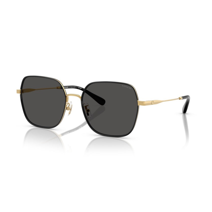 Coach HC7180D 94668757 Shiny Gold/Black sunglasses angle view
