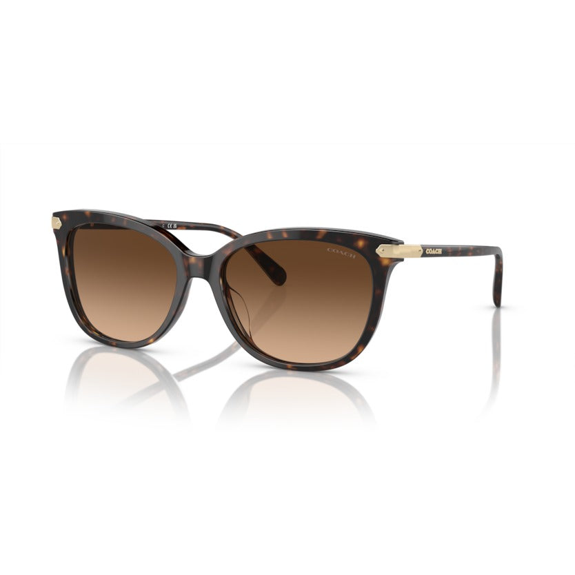 Coach HC8378U 512074 Dark Tortoise sunglasses angle view