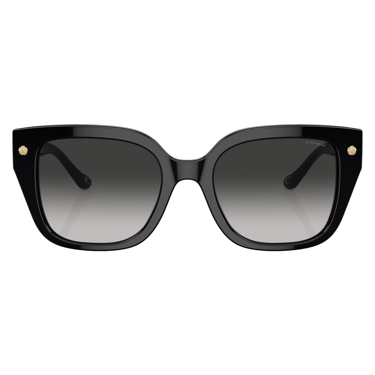Coach HC8392U 50023C Black sunglasses front view