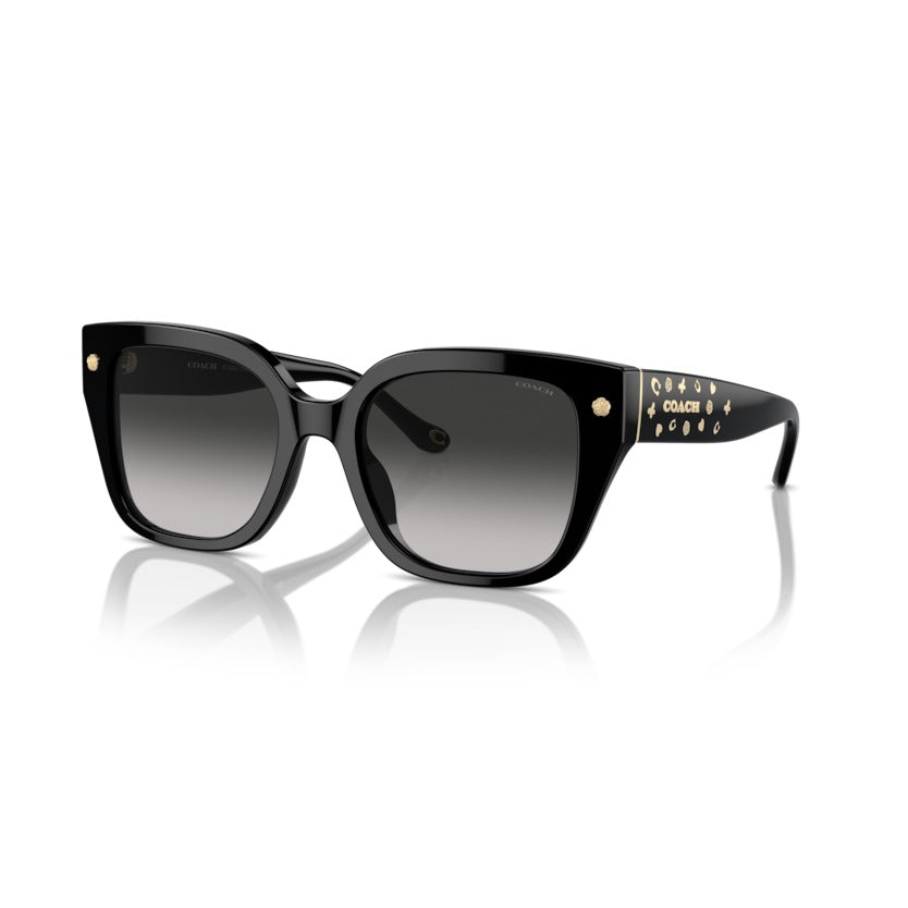 Coach HC8392U 50023C Black sunglasses angle view