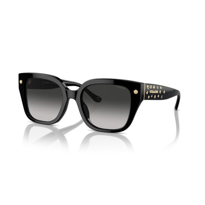 Coach HC8392U 50023C Black sunglasses angle view