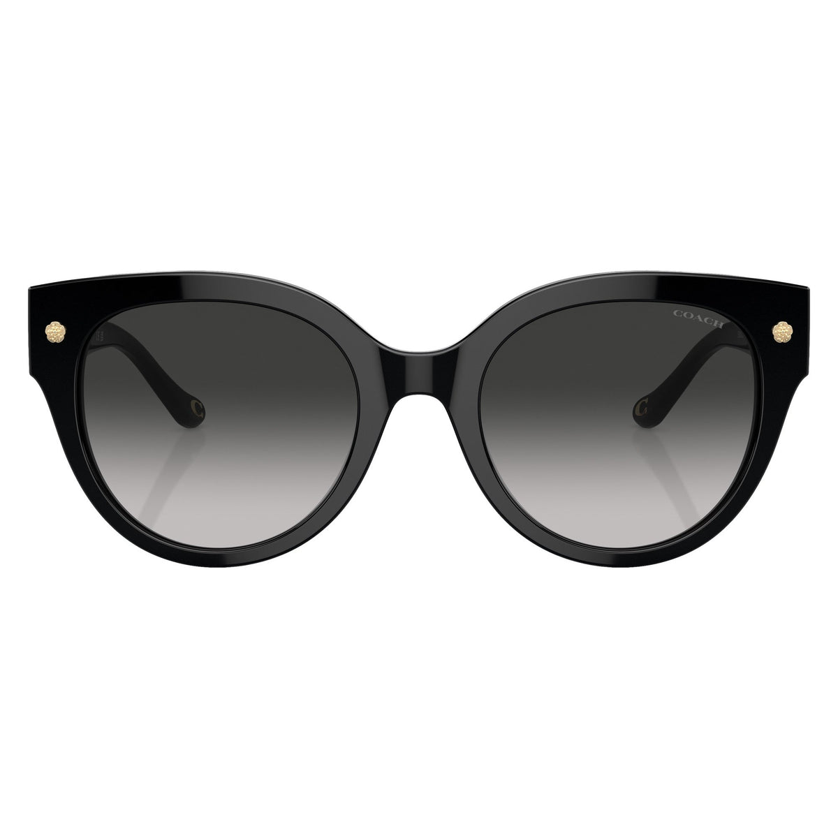 Coach HC8393U 50023C Black sunglasses front view