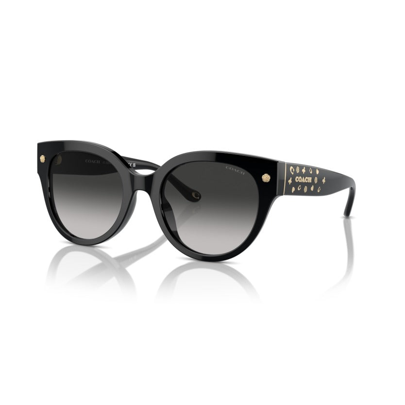 Coach HC8393U 50023C Black sunglasses angle view