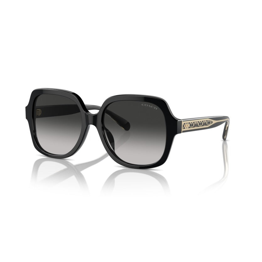 Coach HC8395U 50023C Black sunglasses angle view