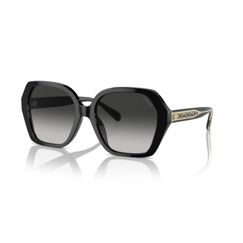 Coach HC8404U 50023C Black sunglasses angle view