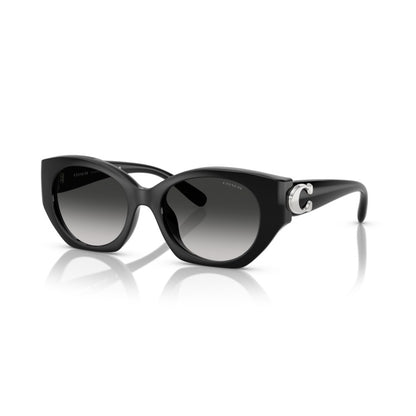 Coach HC8407U 50023C Black sunglasses angle view