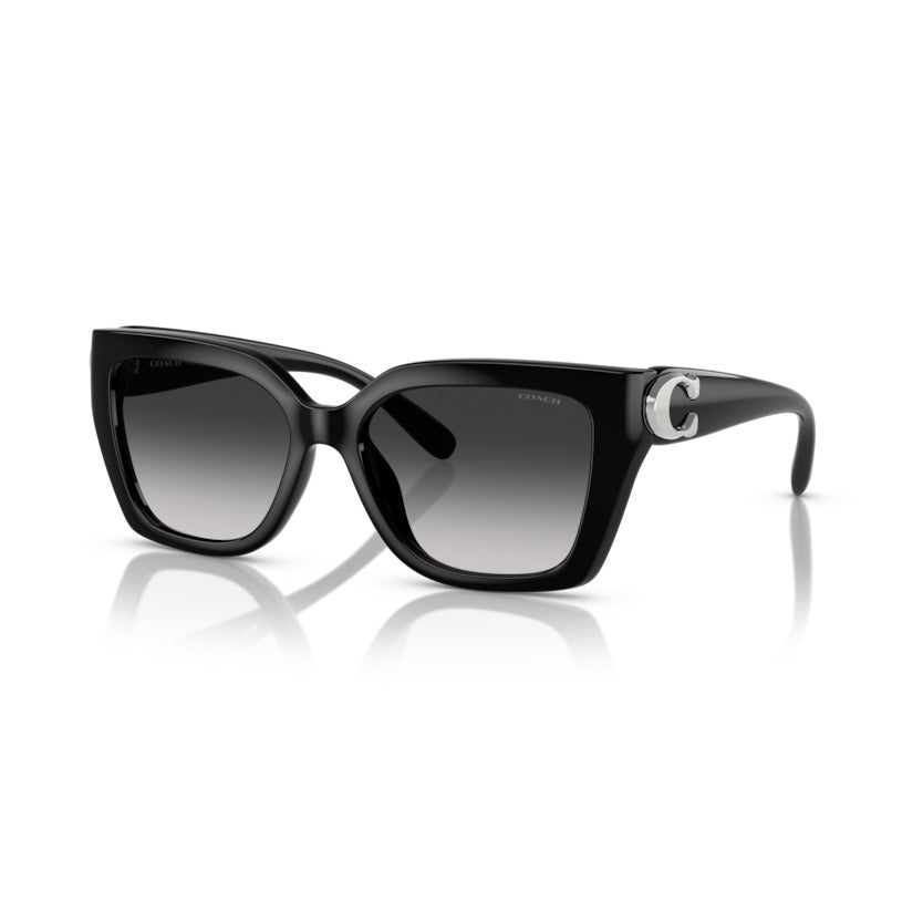 Coach HC8408U 50023C Black sunglasses angle view