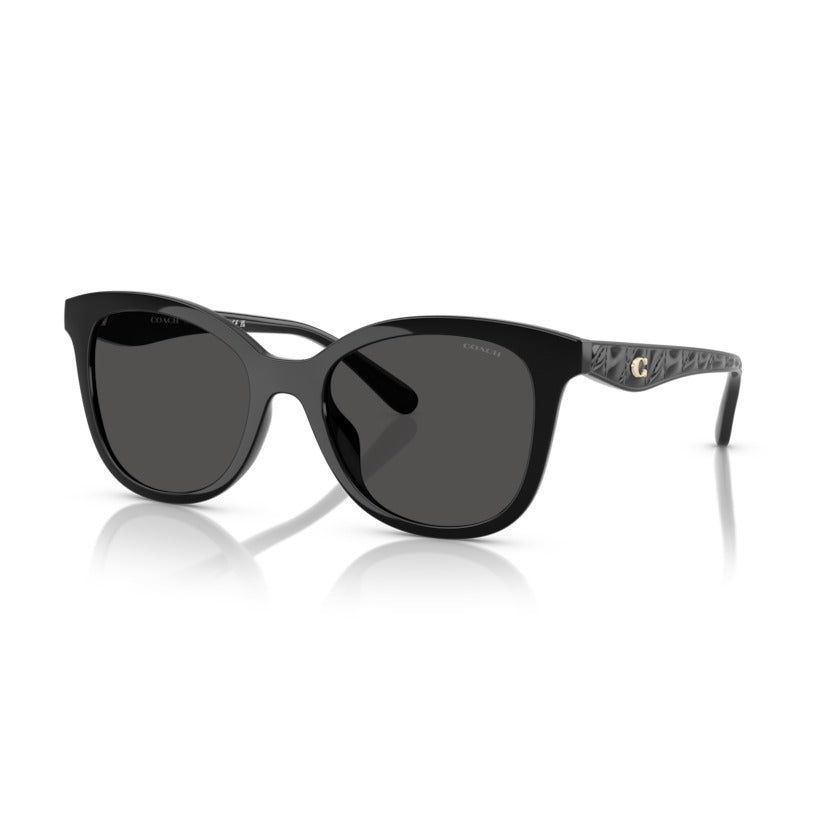 Coach HC8419U 50028755 Black sunglasses angle view