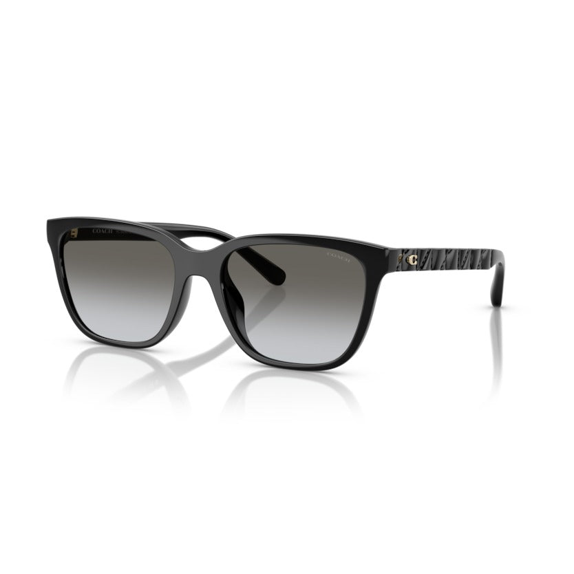 Coach HC8429D 50023C56 Black sunglasses angle view