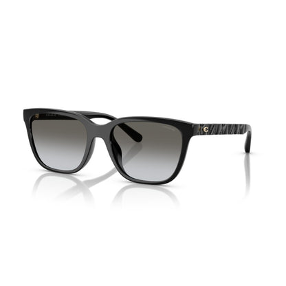 Coach HC8429D 50023C56 Black sunglasses angle view
