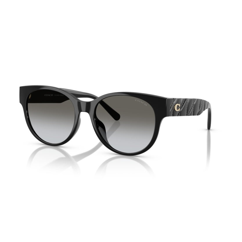 Coach HC8430D 50023C56 Black sunglasses angle view