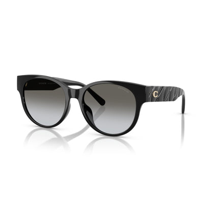 Coach HC8430D 50023C56 Black sunglasses angle view