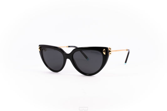 TIFFANY Sunglasses - TF4195 (80013C)