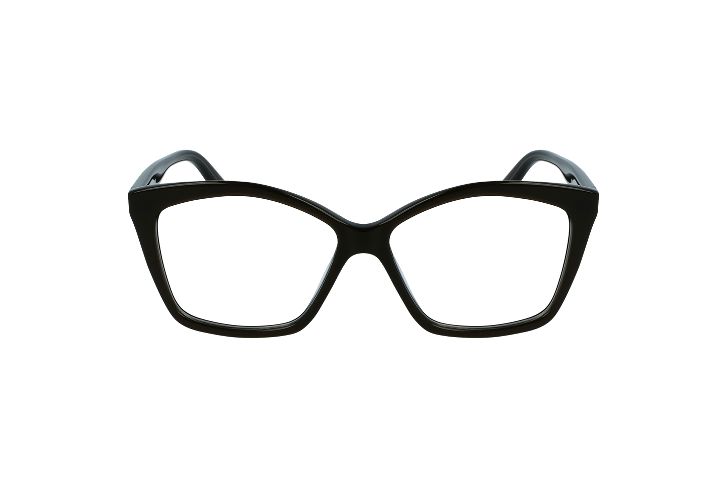 KARL LAGERFELD Frame - KL6064