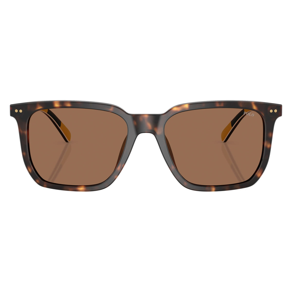 Polo PH4224U 500373 Shiny Dark Havana sunglasses front view