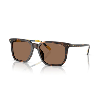 Polo PH4224U 500373 Shiny Dark Havana sunglasses angle view