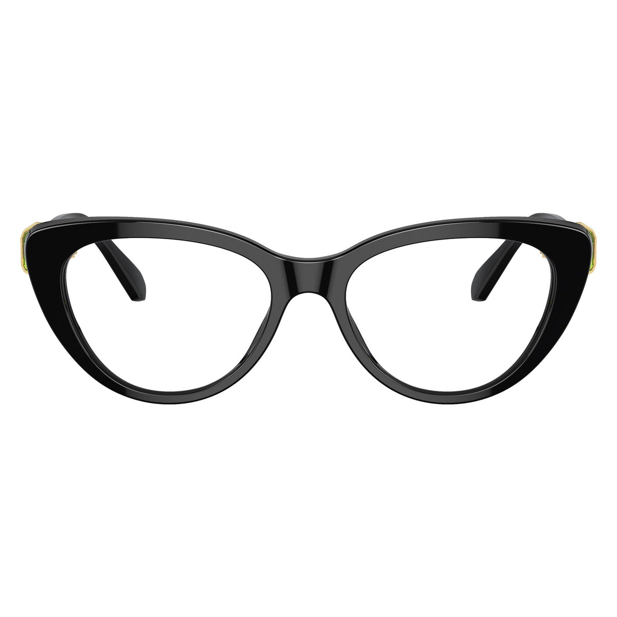 Swarovski SK2005 1001 Black eyeglasses front view