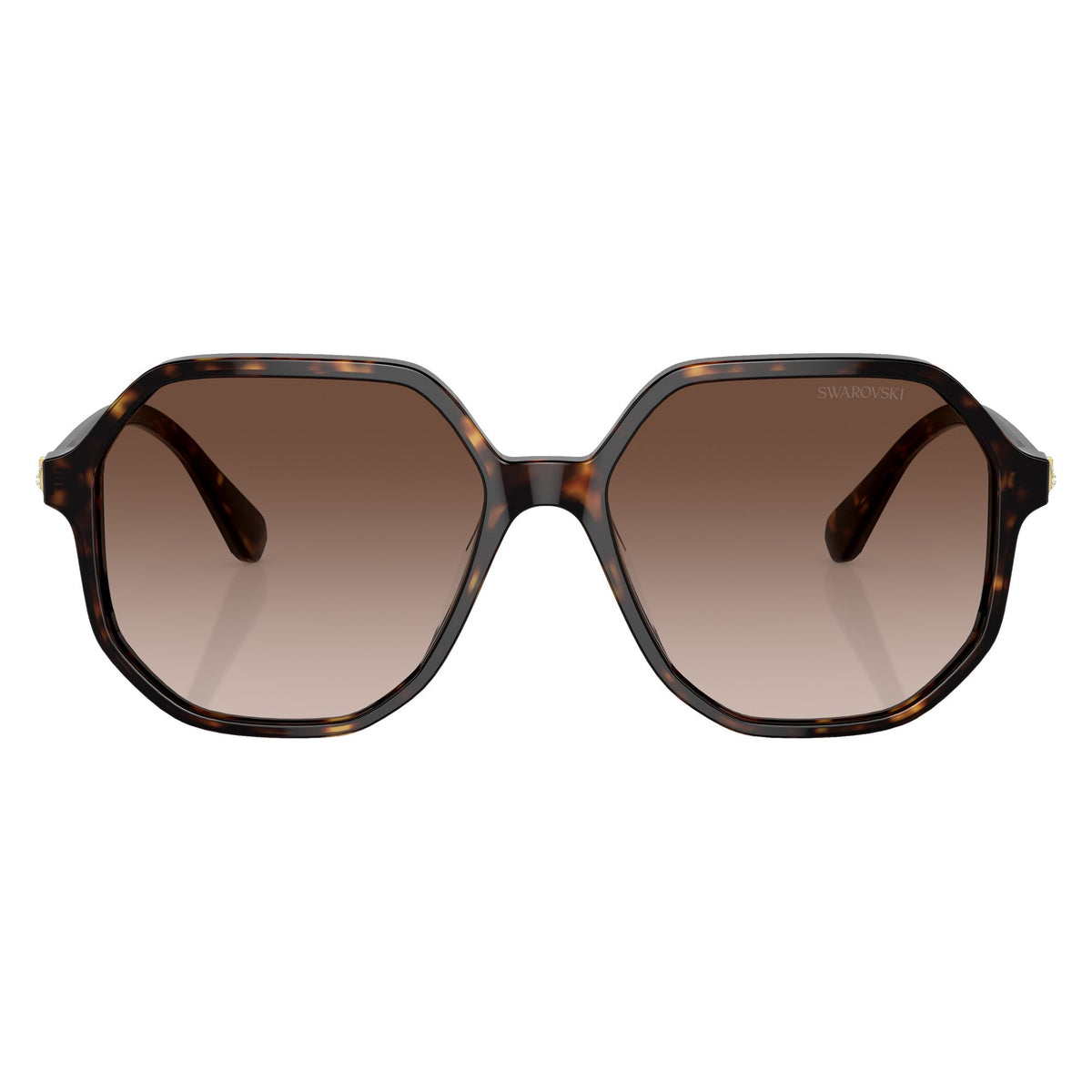 Swarovski SK6003 100213 Havana sunglasses front view