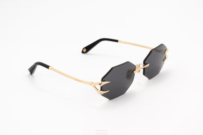 ROBERTO CAVALLI Sunglasses - SRC005 (0300)