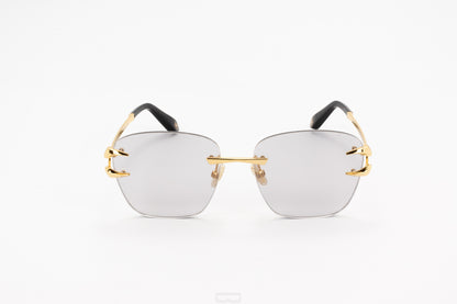 ROBERTO CAVALLI Sunglasses - SRC022 (400F)